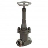 Cryogenic Gate Valves CMC70B1D3S00