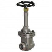 Cryogenic Gate Valves CMC80B1D6S00