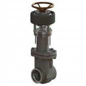 Cryogenic Gate Valves CMD80STED8STY