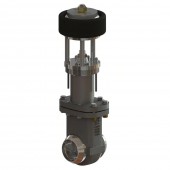 Cryogenic Gate Valves CMDA0B1D8STY
