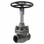 Cryogenic Globe Valves CNTB0B1D4C