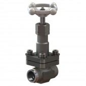 Cryogenic Globe Valves CNS10SNEC1C