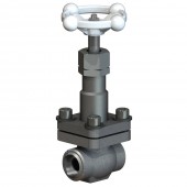 Cryogenic Globe Valves CNS10B1C1C