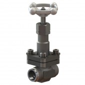 Cryogenic Globe Valves CNT10SNEC1C
