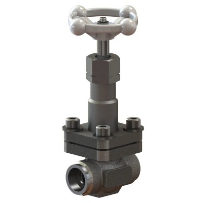 Cryogenic Globe Valves CNT50SNEC1C Cryogenic Globe Valves CNT50SNEC1C