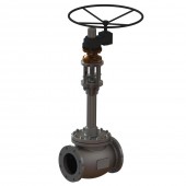 Cryogenic Globe Valves CNTE0FADDC