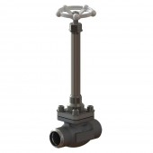 Cryogenic Globe Valves CNS10B1D3C