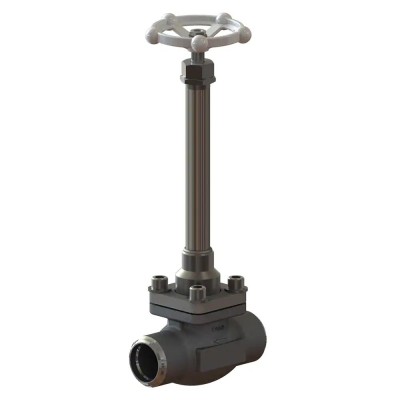 Cryogenic Globe Valves CNS20B1D3C Cryogenic Globe Valves CNS20B1D3C
