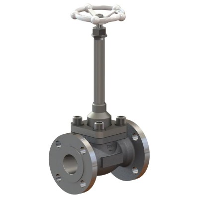 Cryogenic Globe Valves CNS20FAD6C Cryogenic Globe Valves CNS20FAD6C