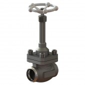 Cryogenic Globe Valves CNT10B1D3C