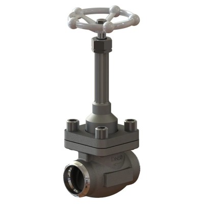 Cryogenic Globe Valves CNT10B1D6C Cryogenic Globe Valves CNT10B1D6C