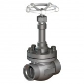 Cryogenic Globe Valves CNTA0SNED4C
