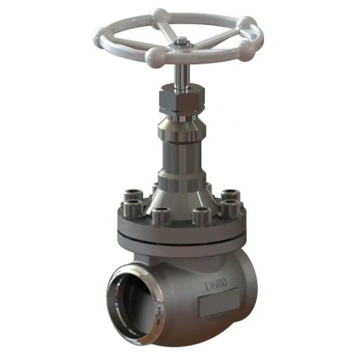 Cryogenic Globe Valves CNTA0B1D4C Cryogenic Globe Valves CNTA0B1D4C