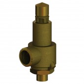 Cryogenic Safety Relief Valves
