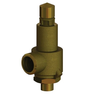 Cryogenic Safety Relief Valves Cryogenic Safety Relief Valves