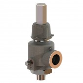 Cryogenic Safety Relief Valves CWT20LR48N00